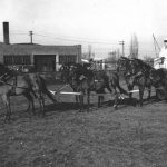 Curtiss Farm Six Pony Hitch, n.d.