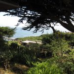 View of the Pacific ocean from the Tede family home in Bolinas