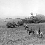 Buena Vista Farm