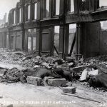 Cattle killed on Mission Street by 1906 San Francisco earthquake