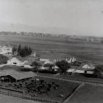 Bloomfield Farm with the shops and cattle pens